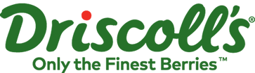 Driscoll
